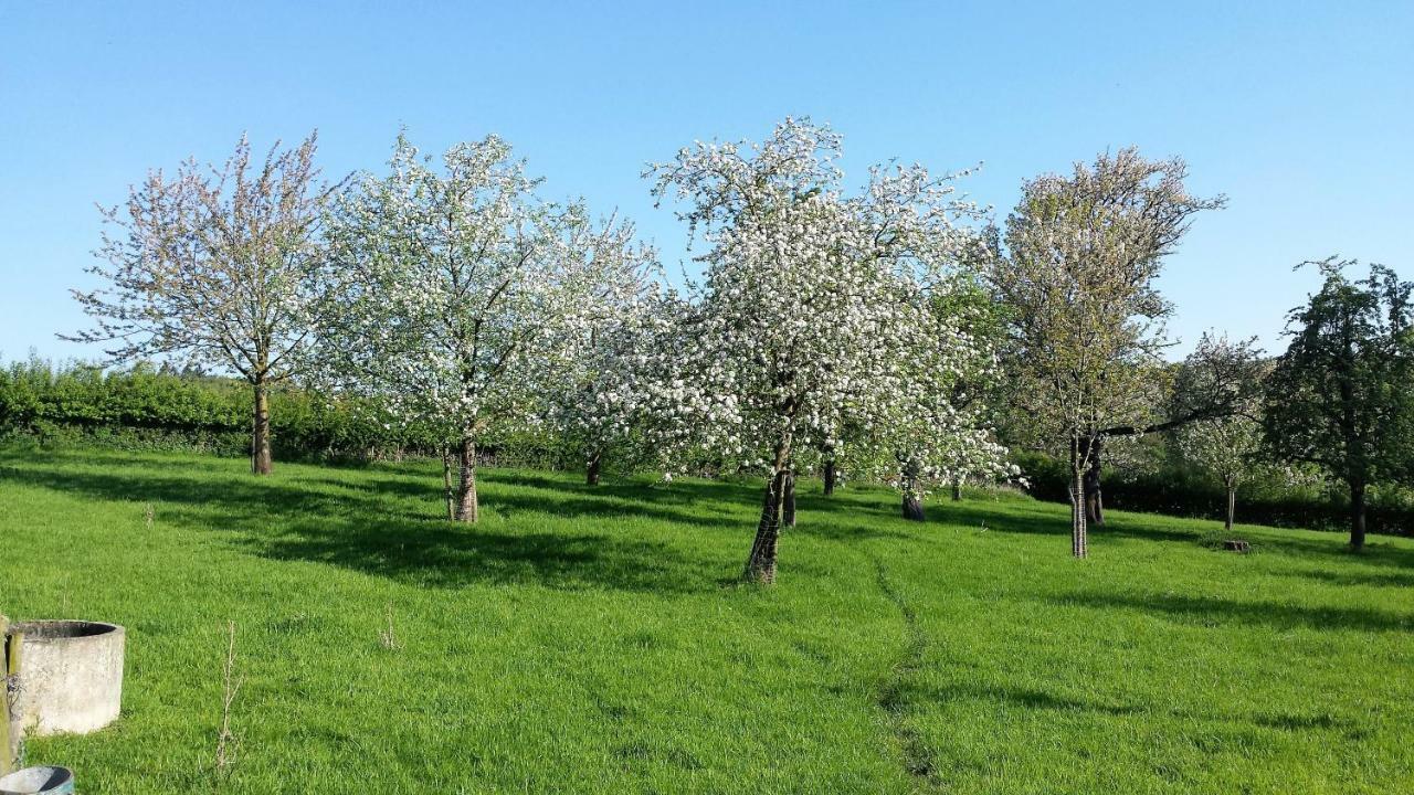 Hoeve Schevey Mechelen Exterior foto